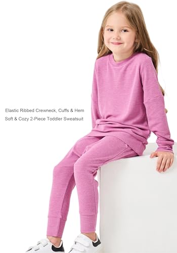 Image of Girls Boys 2-Piece Sweatsuit, Knit Sweatshirt Top & Jogger Pants Clothes Set, Toddler Kids Casual Outfits