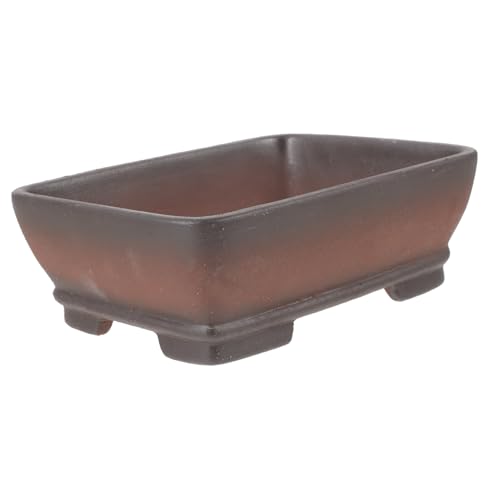 Pot à bonsaï compact et léger pour petits espaces intérieurs - 2