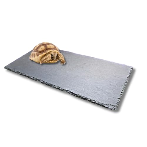 JP Number 亀乾燥ボード フードプレート カメ 爪研ぎ パッド 保温 保湿 溶岩 石 岩 飼育ケース 内装 床材 30x15cm