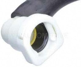 BWD Canister Purge Solenoid (CPV20)