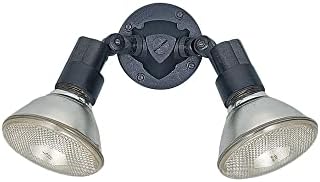 Sea Gull Lighting 8642-12 Adjustable Swivel Flood Light, Black