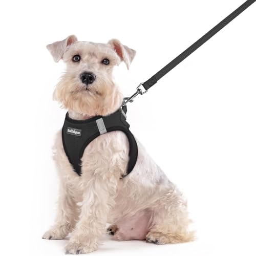 Image of rabbitgoo Dog Harness Medium Sized and Leash Set, Step-in Puppy Pet Vest
