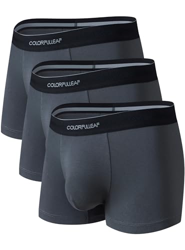 COLORFULLEAF Mens Underwear Moisture Wicking Rayon Made From Bamboo Boxer Briefs Mens Short Leg Quick Dry Travel Underwear