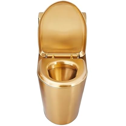 WXXZCE Stand Wc mit Spülkasten Komplett, Wc Komplettset Edelstahl 304, Komfort-Sitzhöhe 40cm, Siphon-Spülung, Frostschutz, für Einkaufszentren, Bars, Krankenhäuser(Gold)
