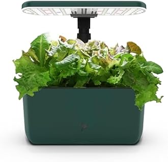 AeroGarden Harvest Lite in Green, Soil-Free Indoor Hydroponic Garden with LED Grow Light for Year-Round Gardening of up to 6 Herbs and Vegetables