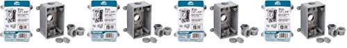 Image of Bell PSB37550GY Single-Gang Weatherproof Three 1 /2 inch or 3 /4 inch Threaded Outlets, 2 in, Gray (Pack of 8)