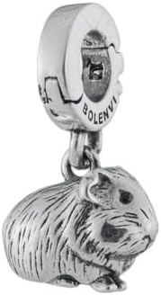 Bolenvi Guinea Pig Clip On Open Dangle Pendant, Omni Clasp 925 Sterling Silver Charms, Compatible with Pandora & Other Charm Bracelets, Necklaces and DIY Jewelry, Cute Charms for Jewelry Making - Image 3