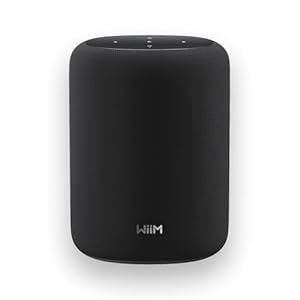 WiiM Sound Lite Smart Speaker, Hi-Res 24-bit/192 kHz, AI RoomFit™ Raumkorrektur, 100W Peak, WLAN 6E/Bluetooth 5.3, Multiroom- und Stereokopplung (Schwarz)