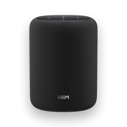 WiiM Sound Lite Smart Lautsprecher Alexa integriert WLAN/Bluetooth Speaker Hi-Res 24-bit/192 kHz AI RoomFit Raumkorrektur 100W Spitzenleistung Multiroom und Stereokopplung für PC/TV Schwarz