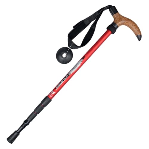 GkgWuxf Bastones de Trekking,Bastón Telescópico para Trekking - Equipo de 4 Secciones Unisex para Montañismo Excursionismo y Deportes de Invierno GkgWuxf Bastones de Trekking,Bastón Telescópico para Trekking - Equipo de 4 Secciones Unisex para Montañismo Excursionismo y Deportes de Invierno