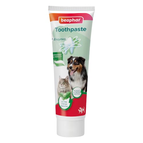 Beaphar Liver Flavour Toothpaste with Enzymes - Peppermint Oil & Parsley for Extra Fresh Breath - Dental Care for Cats & Dogs - Helps Control Plaque and Tartar Fluoride & Xylitol-Free - 100g Tube