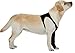 Suitical Recovery Sleeve Dog, Medium, Black
