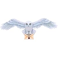 Nemesis Now Placa de Pared con Licencia Oficial de Harry Potter