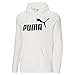 PUMA mens Essentials Big Logo Fleece Hoodie Hooded Sweatshirt, White, Medium US