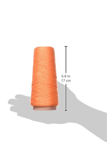 Image of DMC Six Strand Embroidery Cotton 100 Gram Cone, Apricot Medium