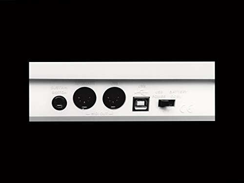 Image of midiplus AK490+ semi-weighted USB MIDI keyboard controller