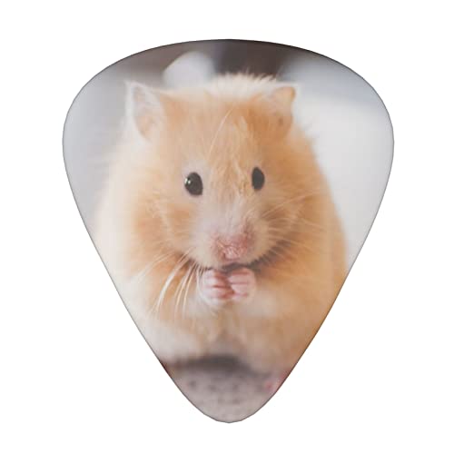 Lot de 3 médiators en celluloïd coloré pour guitare basse, amateurs de musique, joueurs de guitare, guitares électriques et acoustiques avec 0,46 mm, 0,71 mm, 0,96 mm – Maroon Hamster - Les Beatles, Paul McCartney, John Lennon, RIngo Starr, George Harrison Lot de 3 médiators en celluloïd coloré pour guitare basse, amateurs de musique, joueurs de guitare, guitares électriques et acoustiques avec 0,46 mm, 0,71 mm, 0,96 mm - Maroon Hamster