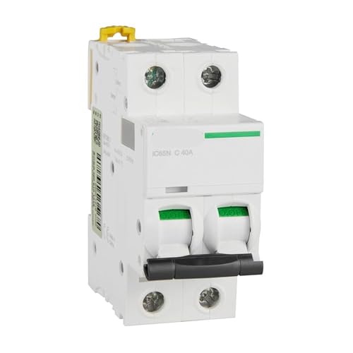 Disjoncteur courbe C 2P 40A résout les surcharges de distribution A9F18240 rail DIN
