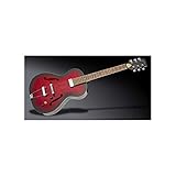 framus guitars history  Framus D-Series Vintage 5/51 Studio Burgundy Blackburst