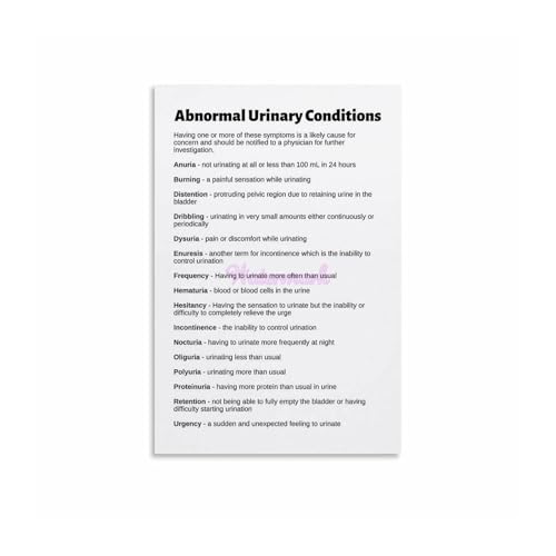 Minimalist Kidney & Bladder Anatomy Art Print, Abstract Medical Science Poster Canvas Wall Decor for Home Office?(Unframed,12x18