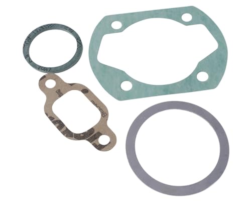 Serie guarnizioni polini per minarelli - beta