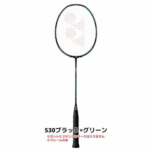 ヨネックス アストロクスネクステージ AXNT