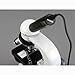 AmScope 5.0 MP USB Still & Live Video Microscope Imager Digital Camera + Calibration Kit