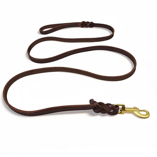 Qianruida Guinzaglio Intrecciato in Vera Pelle per Cani Durevole Forte E Morbido Di Taglia Grande/Media Canina Comportamento Addestramento Guinzaglio Corda(6ft)