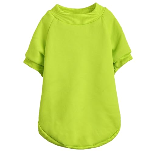 Image of Soft Puppy Sweater for Small Dogs Pullover, Light Green S | Elastic Cuffs Pet Clothes, Holiday Party Matching, Fall Winter Daily Outfit, Soft Breathable Machine Washable Sweatshirt