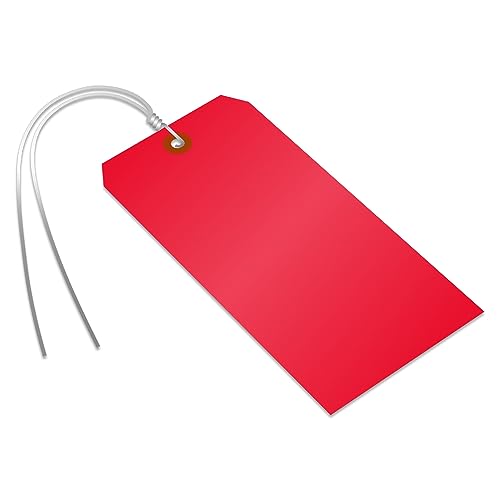 SmartSign (Pack of 100) Red Plastic Tags with Wires, 6.25 x 3.125 inch, Metal Eyelet, 10 mil Tear-Proof Polylith Plastic, Writable