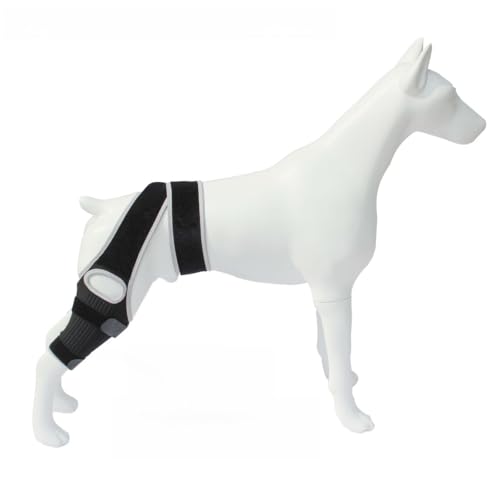 Cutdred ���^�� ���^ ��^�� ���p�T�|�[�^�[ �T�|�[�^�[ ��p�i �����ی쑫�� �y�b�g�p�T�|�[�^�[ ���p�֐� �v���e�N�^�[ �E�� ���߉\ �r�ߖh�~ ���n�r�� �p�i�u���[�X �V����� �� �ȒP�� ��둫 �G�p�b�h (�V���o�[,S)