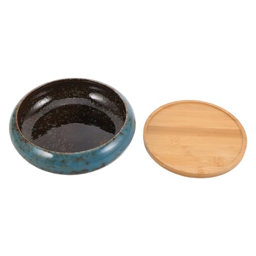 Bol hydroponique pot peu profond céramique bleu pour succulentes - 2