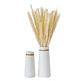 Exquisitos Regalo: El mejor regalo para tu amante o para tu madre, transmite tu amor, dale a tu espacio de vida una exquisita decoración y crea hermosos recuerdos. Este jarrón también es muy adecuado para el uso diario y también es adecuado como un recuerdo para amigos.