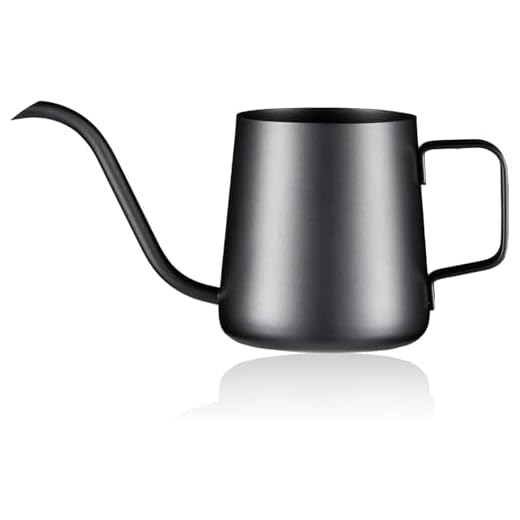 Lizhluzh 12 oz / 350 ml Watering Can Indoor Plants, Stainless Steel Plant Watering Can with Long Spout (Black) (12oz)