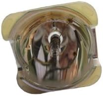 DLP Projector Replacement Lamp Bulb for Infocus Ask Proxima Phoenix SHP107 Hg Lamp Light