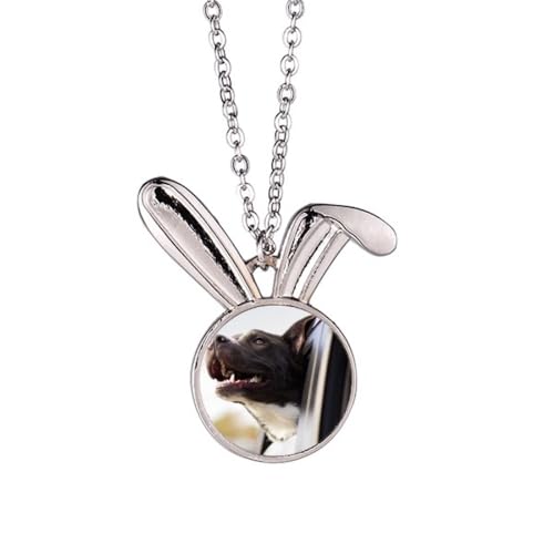 Collier lapin médaillon photo de chien noir, le cadeau parfait pour maîtresse