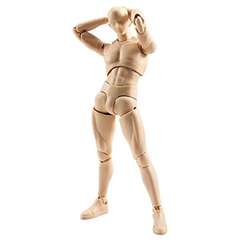 AHOHOS Action Figure Drawing Models, Human Mannequin Body Kun Doll Body-Chan Male/Female Action Figure DX Set, Suitable for Sketching, Painting, Drawing Mannequin Figure Models for Artist