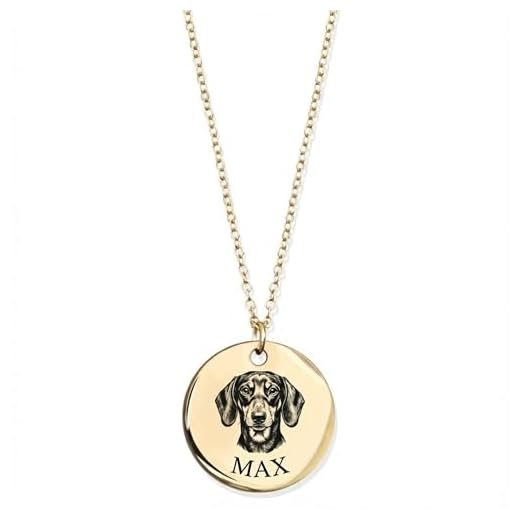 MignonandMignon Personalized Dog Necklace for Women Memorial Gifts Pet Portrait Custom Jewelry Cat Name Unique Animal Picture Necklace for Mom Dog Lovers Mothers Day Gift -LCN-AP(Gold)