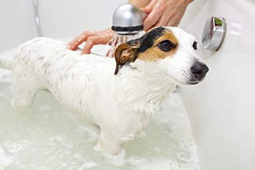 greenbone dog shampoo