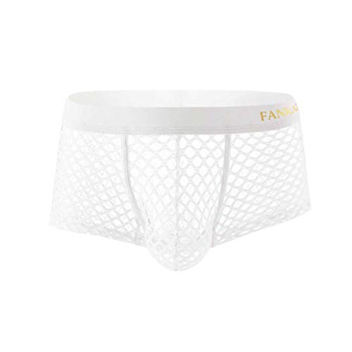Sunaei Men's Sexy Fishnet Underwear Low Rise See Through Erotic Boxer Briefs Athletic Breathable Quick Dry Trunks Underwear White #TOP26