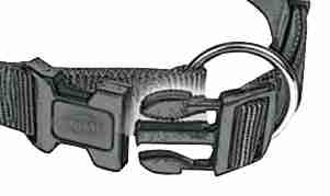 Trixie Premium Halsband Größe M–L: Halsumfang 35–55 cm/20 mm in rot - stufenlos verstellbares Hundehalsband für mittelgroße bis große Hunde, neoprengepolstert, 201603