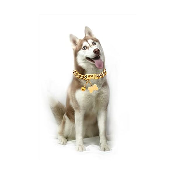 Chain-Dog-Collars-for-Medium-Large-Dogs-Heavy-Duty-19MM-Gold-Cuban-Link-Dog-Collar-Chew-Proof-with-Customized-ID-Tag-18 Stylish and Durable Gold Cuban Link Dog Collars - Customizable