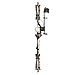 Bear Archery Royale Ready to Hunt Compound Bow Archery Set with Archery Accessories for Adults and Youths, 12”- 27” Draw Length, 5-50 Lbs Draw Weight, Up to 290 FPS