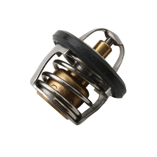Thermostat d'eau J125 idéal pour vos trajets quotidiens en GTS125 - 4