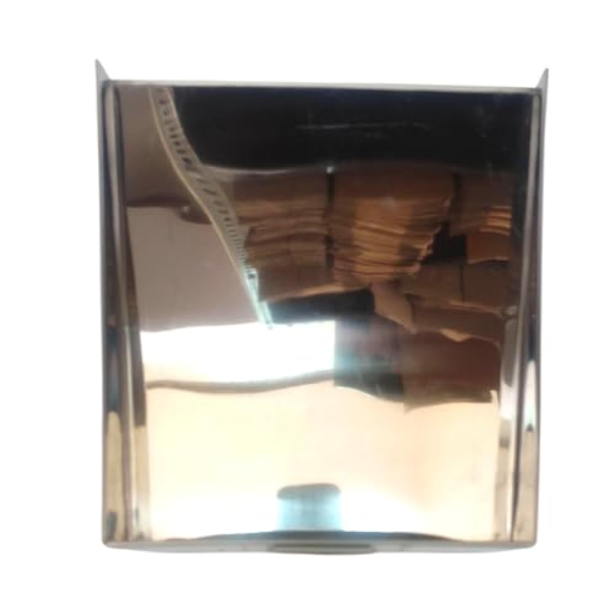 Stainless Steel Dust Pan, Standard Size for Easy Cleaning