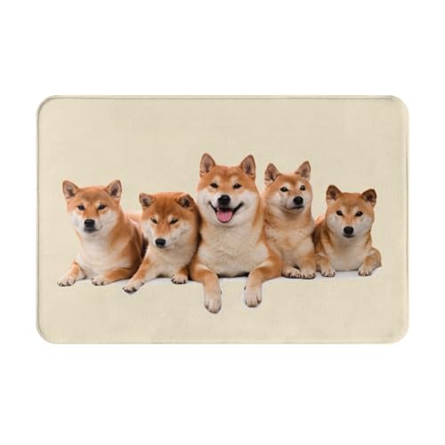 ���փ}�b�g �Č� �� ���� ���O ����~�� �􂦂� �k���� �t�����l�� �z������ �h�L �R�� ���� ������� 40×60cm �o�X�}�b�g �L�b�`���}�b�g