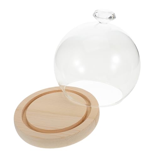 Unomor Elegant Glass Display Dome Floral Vase Protective Cloche Dome Base Small Display Dome for Collections