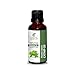 Catnip Oil (Nepeta Cataria) Essential Oil 100% Pure Natural Undiluted Uncut Therapeutic Grade Oil 0.33 FL.OZ