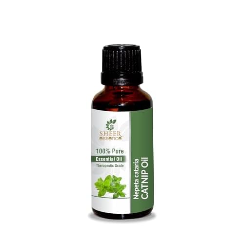 Sheer Essence Catnip Oil 15 ML (0.51 Fl.OZ) | 100% Pure Natural Undiluted Uncut Therapeutic Grade Nepeta Cataria Essential Oil