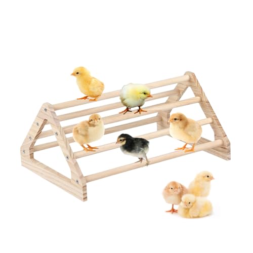 Bigladious xr[Ђ悱p[` ؐ ˂_ WOW IE Ђ悱 ^ gݗĊȒP y (LTCY)